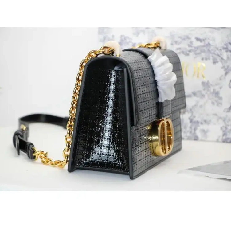 Fashionrepsfam ru Dio Bags 2012SH0120 0803